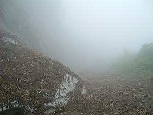 深い霧に閉ざされた仙岩峠旧道