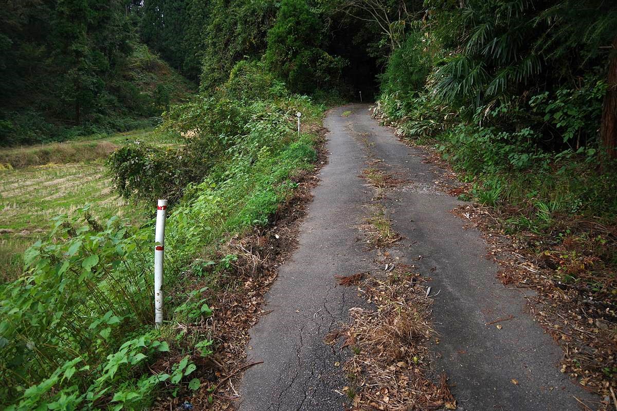 【山さ行がねが】ミニレポート第285回 富山県道285号西勝寺福野線 不通区間 前編
