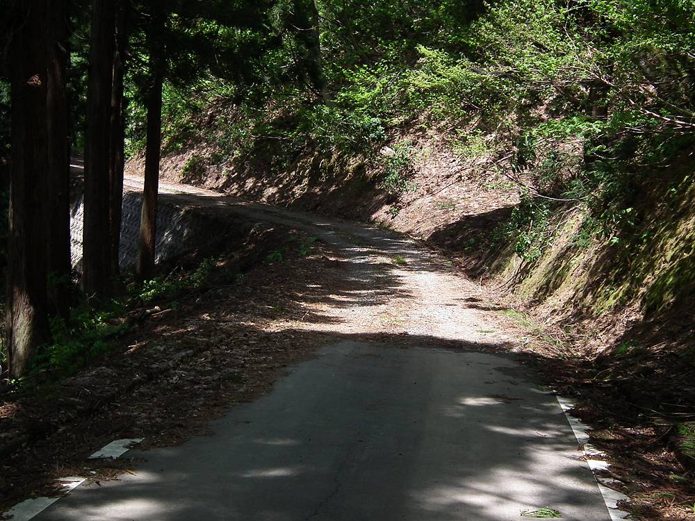 【山さ行がねが】道路レポート 新潟県道71号 小千谷川口大和線 蘭木～小栗山 第2回