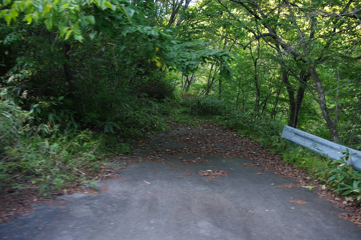 【山さ行がねが】道路レポート 国道257号三尾河バイパスの未成部 第2回