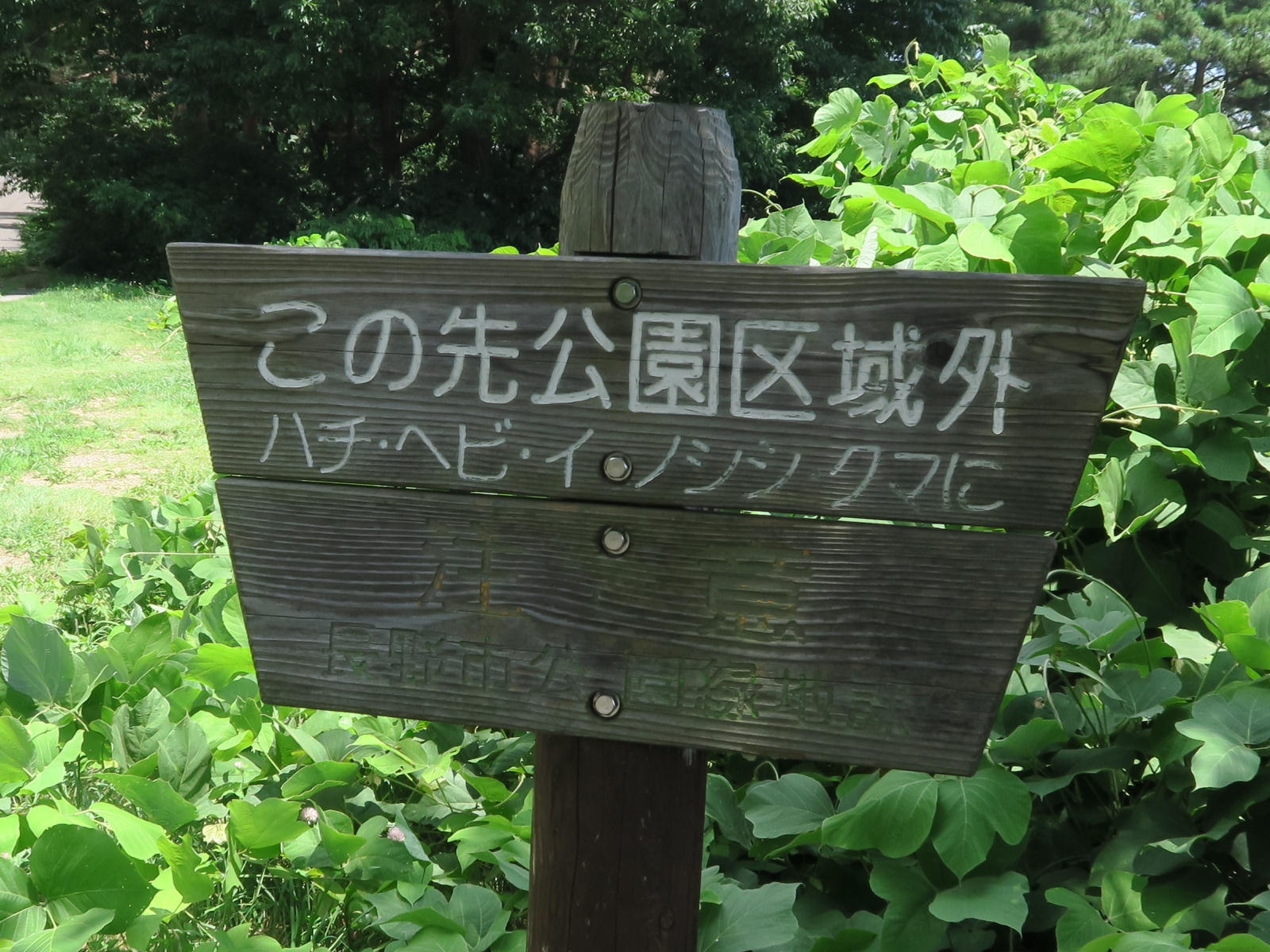 今更…ですが(^^; (画像サイズ: 1600×1200 354kB)