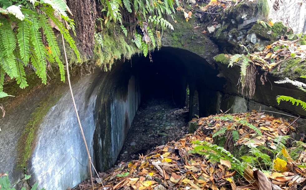 _S̔p詓 (摜TCY: 981~611 343kB)