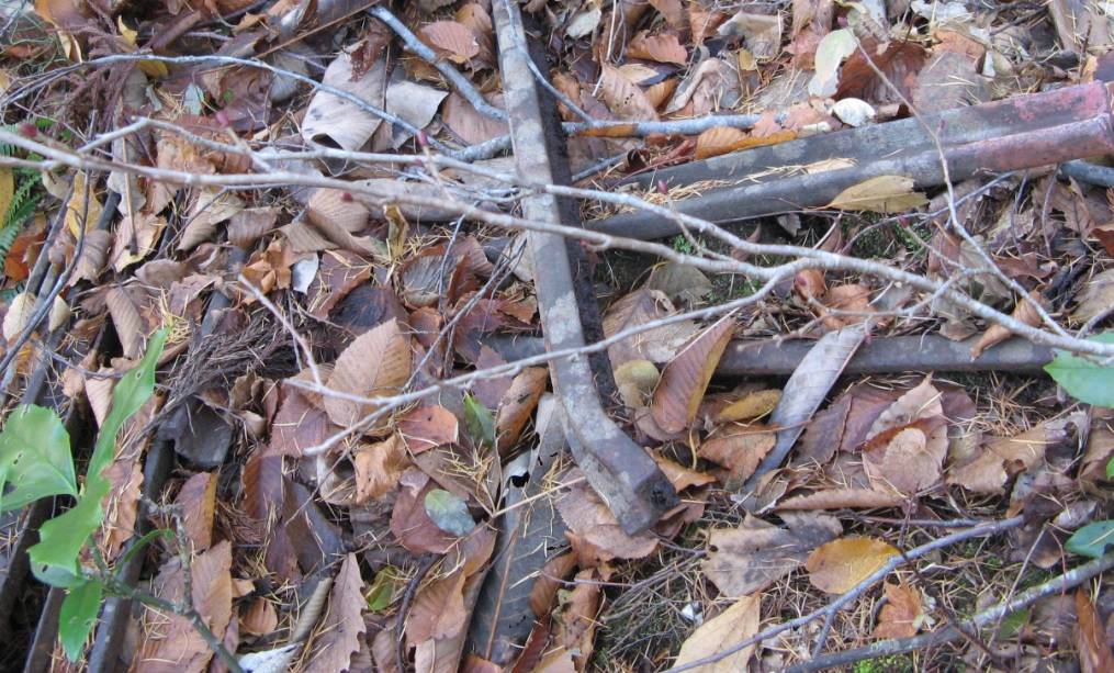 �їp�O���� (�摜�T�C�Y: 1015�~613 333kB)